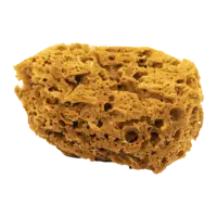 Губка натуральная Pentrilo для декоративных эффектов