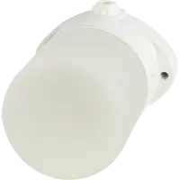 Светильник накладной для сауны TDM, 1xE27x60 Вт, IP54