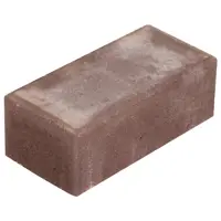 Брусчатка 200х100х70 мм цвет красный