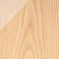 18556040_u-5 18556040_u-5