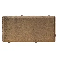 Плитка Тротуарная BRAER прямоугольник 200x100 мм цвет прайд толщина 40 мм