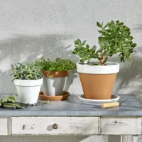 83237380_i_01-5 83237380_i_01-5