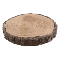 Плитка тротуарная спил 38x5 см