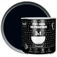 Грунт-эмаль по ржавчине 3 в 1 Dali Special гладкая цвет чёрный 2.2 кг RAL 9005