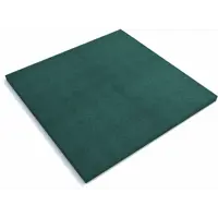 Плитка резиновая 1000x1000x40 мм для грунта зеленый 1 м²