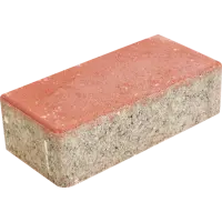 Плитка тротуарная прямоугольная Лайн 200x100x60 мм красный