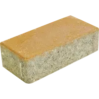 Плитка тротуарная прямоугольная Лайн 200x100x40 мм желтый