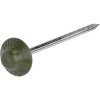 Гвозди кровельные ершёные для Ондулина цвет зеленый 0.5 кг (100 шт.)