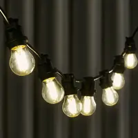 Гирлянда белт-лайт из лампочек Navigator электрическая 220 В 10 м под 40 ламп Е27 цвет черный, лампы не входят в комплек