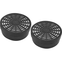 Фильтр сменный для РУ-60М Исток 300/400 А1В1Р1, 2 шт.