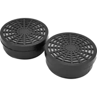 Фильтр сменный для РПГ-67 Исток 300/400 А1В1, 2 шт.