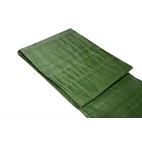 Тент строительный 70 г/м² 2x3 м 6 м²