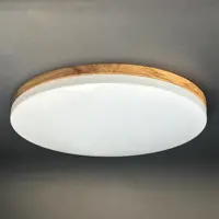 Светильник настенно-потолочный светодиодный Зора 90 Вт с пультом управления 34 м² регулируемый свет цвет белый