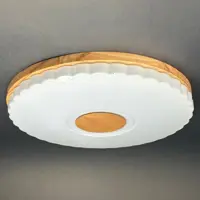 Светильник настенно-потолочный светодиодный Виола 90 Вт с пультом управления 34 м² регулируемый свет цвет белый