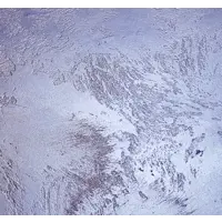 90208398_09-5 90208398_09-5