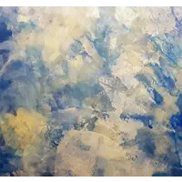 90208398_10-5 90208398_10-5