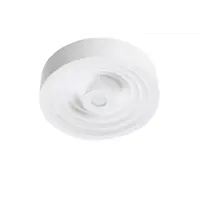 Светильник потолочный светодиодный ESCADA 10218/S LED теплый белый свет цвет белый