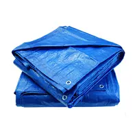 Тент универсальный Tech-Top 6x6м 60г/м² синий