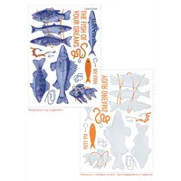 Дождевик с термонаклейками Coolcolor Fish of Your Dreams 71559.302, цвет черный, размер M