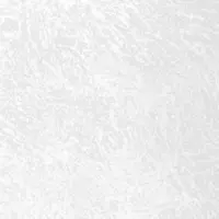 Декоративное покрытие Мраморикс Песчаный ветер 00-00008691 8кг