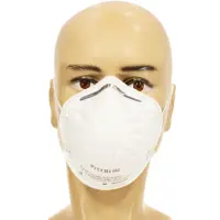 Респиратор одноразовый РусСиз RS102-5, класс защиты FFP2, 5 шт