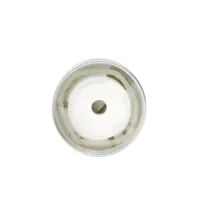 Ароматизатор Eikosha меловой Spirit Refill - Green Breeze, 80 г