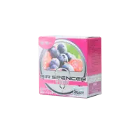 Ароматизатор Eikosha меловой Spirit Refill - W Berry, 80 г