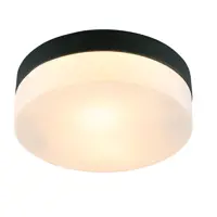 Светильник настенно-потолочный Arte Lamp A6047PL-2BK цвет черный IP44