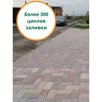 Форма для брусчатки Standartpark Мостовая 220x125x55 мм 10 шт