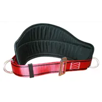 Страховочный пояс Спецодежда-2000 ПМ-20 СПЕЦ 1080