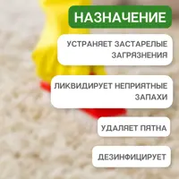 Шампунь для мойки ковров Reva Care Professional R435000 5 л