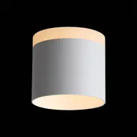 Светильник точечный накладной светодиодный ST Luce ST102.502.12 4 м² нейтральный белый свет цвет белый