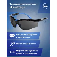 Очки защитные открытые Ампаро Сенатор 1111 черные с защитой от запотевания