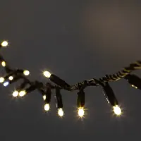 Электрогирлянда комнатная Эра b0051887 нить 3 м 30 ламп теплый белый 1 режим работы