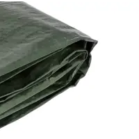 Тент защитный SCLEY 0440-800405 80 г/м 4x5м