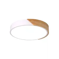 Светильник настенно-потолочный светодиодный Балтийский Светлячок P-40B с пультом управления 15 м² регулируемый белый све