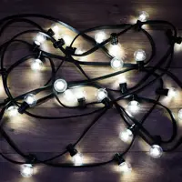 Электрогирлянда универсальная Neon-night 331-325 нить 10 м 30 ламп бесцветный 1 режим работы