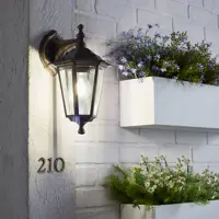 Светильник уличный настенный Inspire Peterburg 1xE27x60 Вт алюминий/стекло цвет бронза