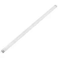 Лампа люминесцентная Belsvet T8 600 мм 18 Вт свет дневной