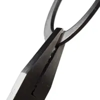 18805106_i 18805106_i