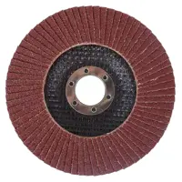 Круг лепестковый торцевой КЛТ1 Flexione Р80 125x22.2 мм