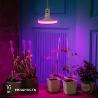 Фитолампа светодиодная для растений Uniel E27 220-230 В 16 Вт 150 мм красно-синий спектр розовый свет