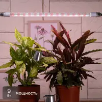 Фитолампа светодиодная линейная для растений Эра T8 G13 9 Вт полноспектральный нейтральный белый свет