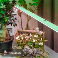 Фитолампа светодиодная линейная для растений Эра T8 G13 18 Вт полноспектральная нейтральный белый свет