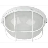 Светильник утилитарный настенно-потолочный влагозащищенный Эра НБП03-100-002 12 м² цвет белый