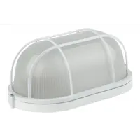 Светильник утилитарный настенно-потолочный влагозащищенный Эра НБП04-100-002 12 м² цвет белый