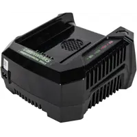 Зарядное устройство Greenworks G82C