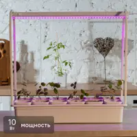 Фитосветильник линейный светодиодный Uniel P26 572 мм 10 Вт красно-синий спектр розовый свет цвет белый