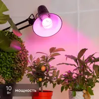 Фитолампа светодиодная для растений Эра 10 Вт E27 груша красно-синий спектр розовый свет