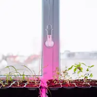 Фитолампа светодиодная для растений TDM Electric E27 8 Вт груша 300 лм 6 м² красно-синий спектр розовый свет